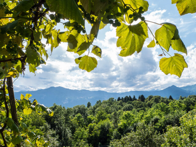 Alpe Mottarone