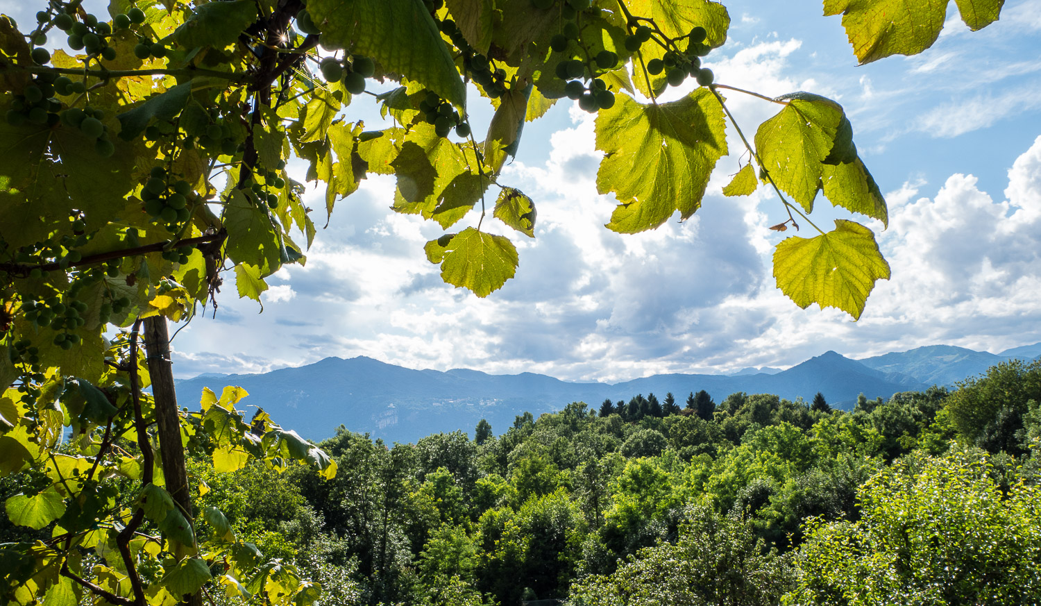 Alpe Mottarone